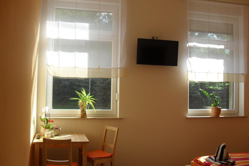 Pension Am Steinberg Muldenstein 部屋 写真